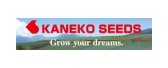 KANEO SEEDS